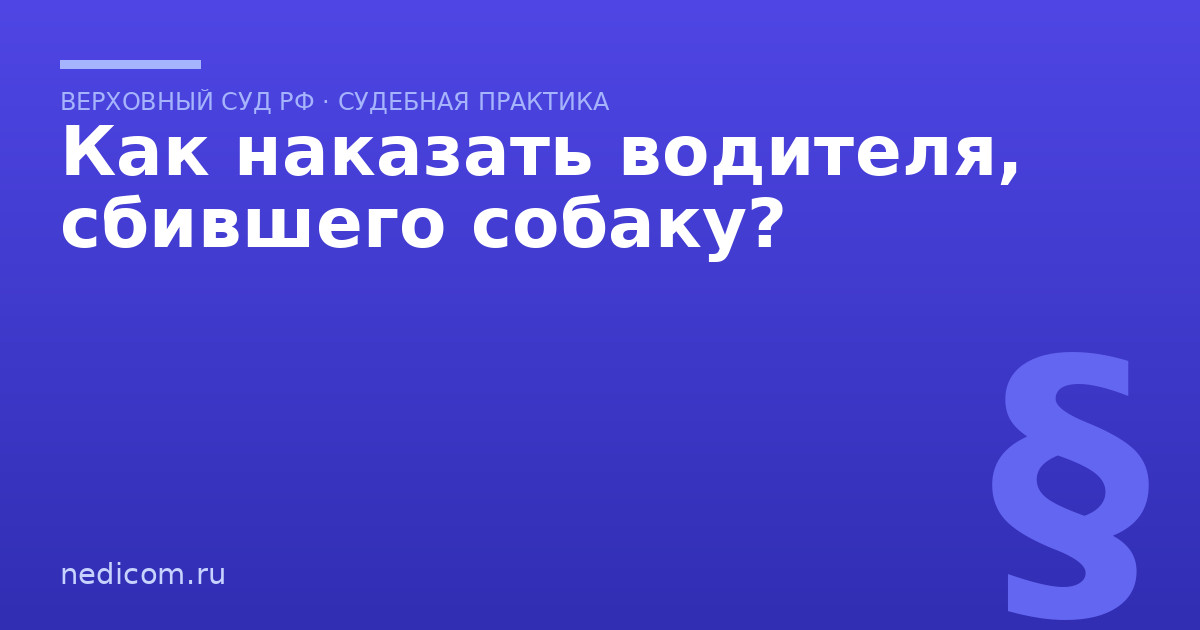 Как наказать водителя, сбившего собаку?
