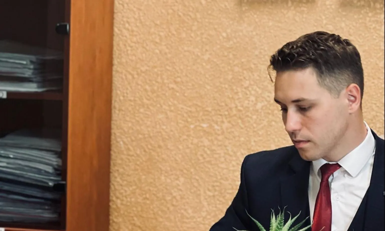 Выдел дома в блокированную застройку