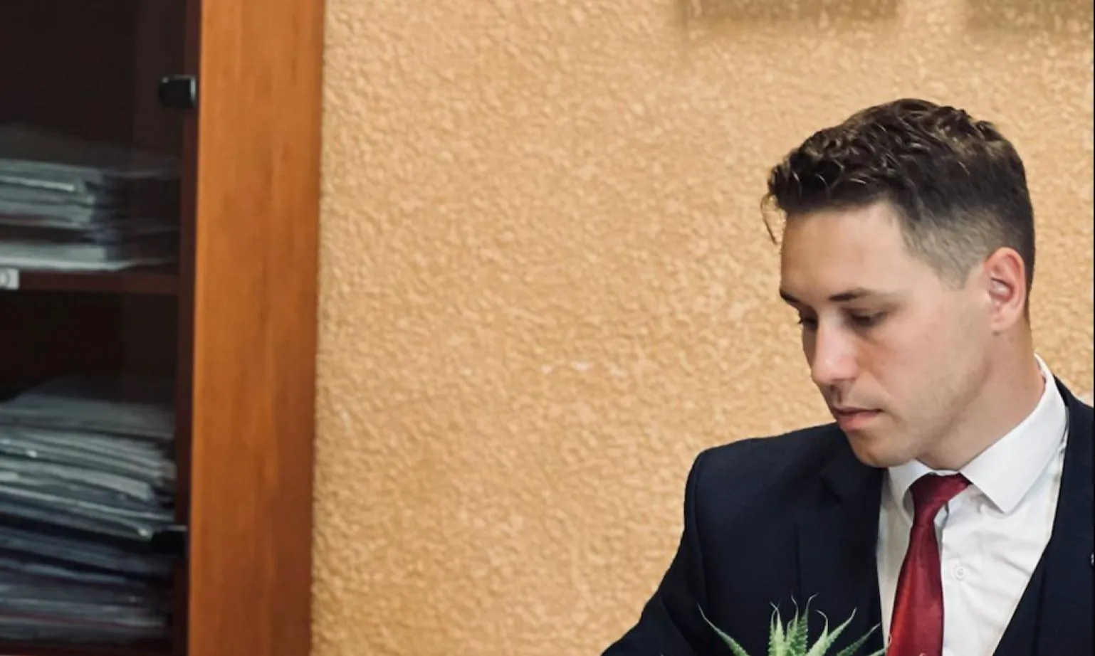 Выдел дома в блокированную застройку